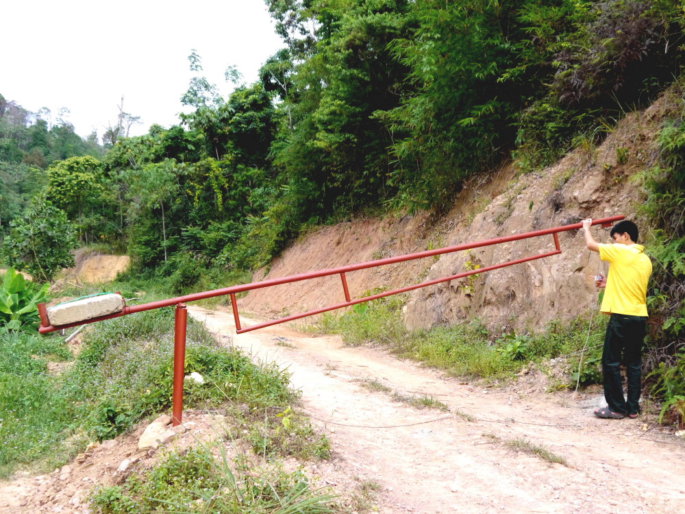 Stingless Bee Farm Bentong - Melipoly - Organic and Pure Honey Supplier