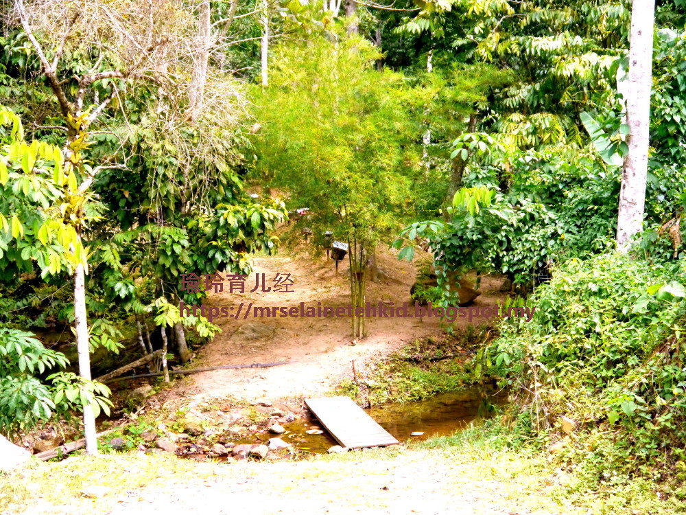 Stingless Bee Farm Bentong - Melipoly - Organic and Pure Honey Supplier