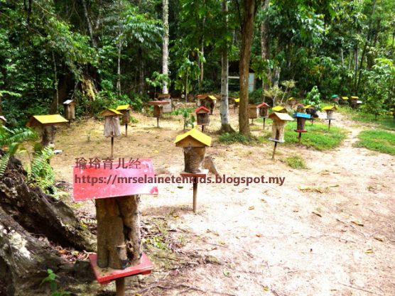 Stingless Bee Farm Bentong - Melipoly - Organic and Pure Honey Supplier