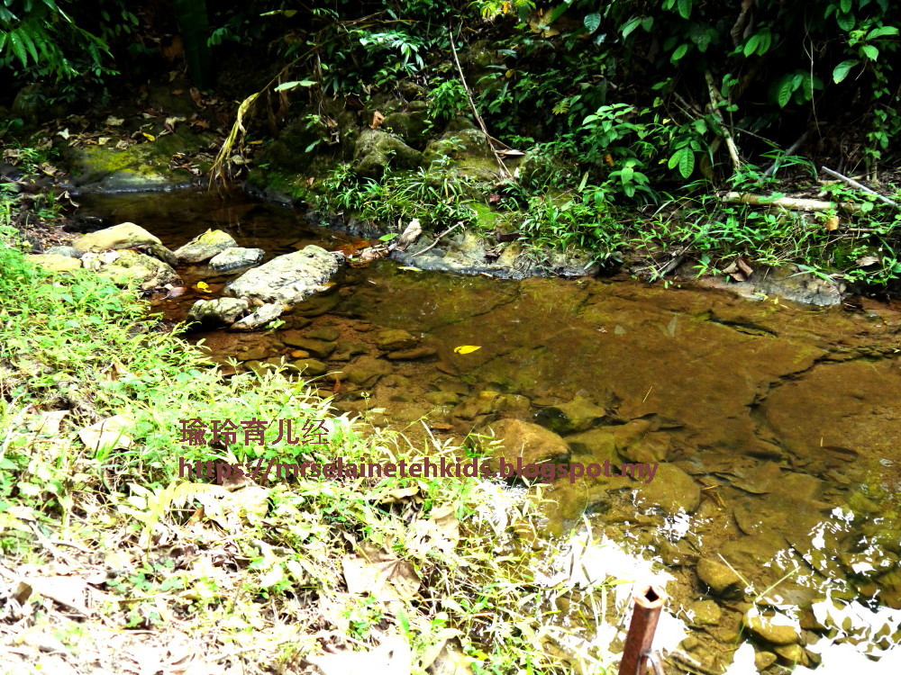 Stingless Bee Farm Bentong - Melipoly - Organic and Pure Honey Supplier