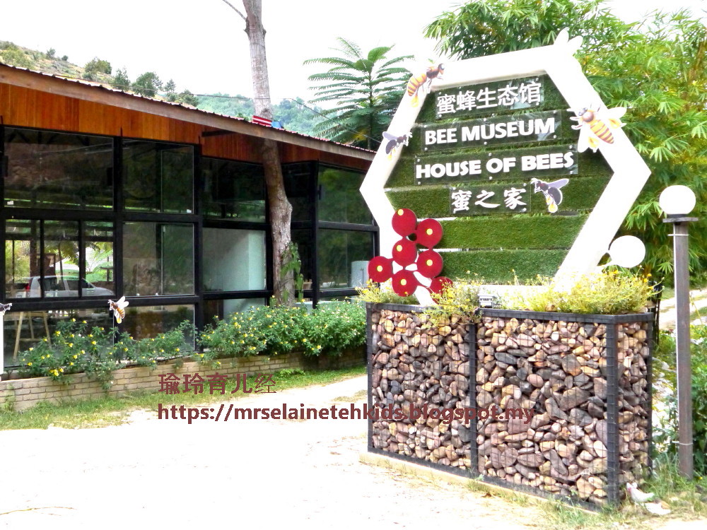 Bee Museum House of Bees - Melipoly - Organic and Pure Honey Supplier