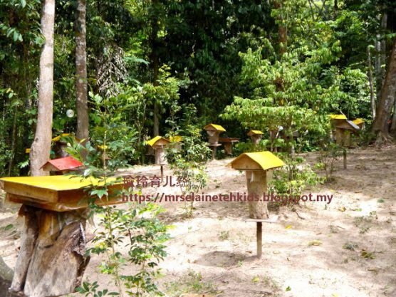 Stingless Bee Farm Bentong - Melipoly - Organic and Pure Honey Supplier