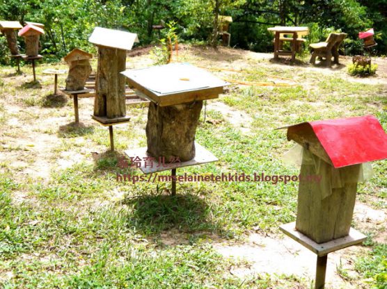 Stingless Bee Farm Bentong - Melipoly - Organic and Pure Honey Supplier