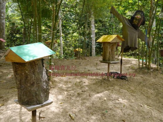Stingless Bee Farm Bentong - Melipoly - Organic and Pure Honey Supplier