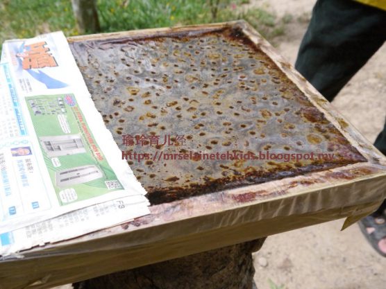 Stingless Bee Farm Bentong - Melipoly - Organic and Pure Honey Supplier