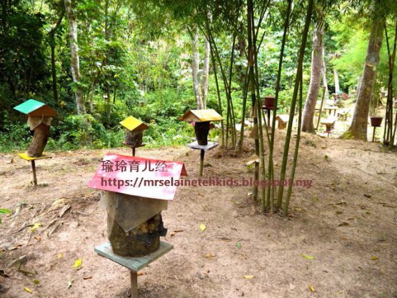 Stingless Bee Farm Bentong - Melipoly - Organic and Pure Honey Supplier