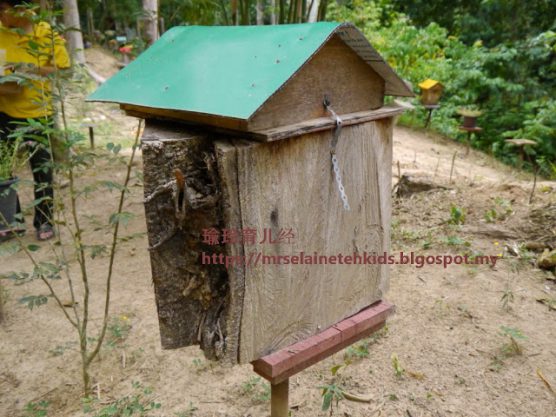 Stingless Bee Farm Bentong - Melipoly - Organic and Pure Honey Supplier