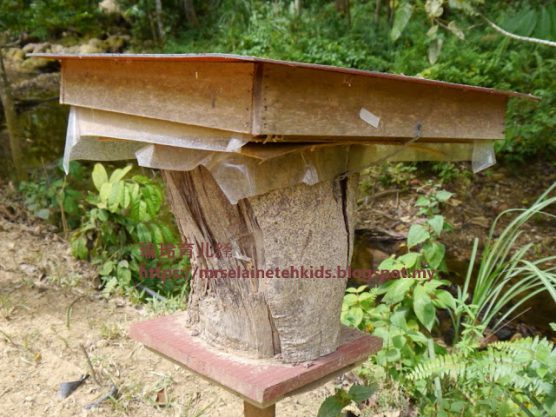 Stingless Bee Farm Bentong - Melipoly - Organic and Pure Honey Supplier
