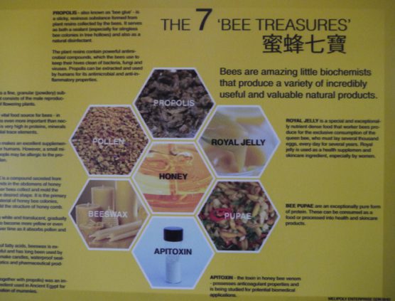 Stingless Bee Farm Bentong - Melipoly - Organic and Pure Honey Supplier