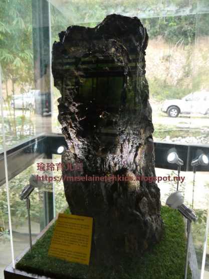 Stingless Bee Farm Bentong - Melipoly - Organic and Pure Honey Supplier