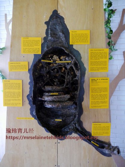 Stingless Bee Farm Bentong - Melipoly - Organic and Pure Honey Supplier
